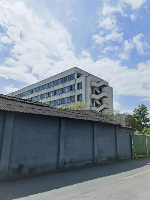 去文星镇赶场,我实现了「购物自由」